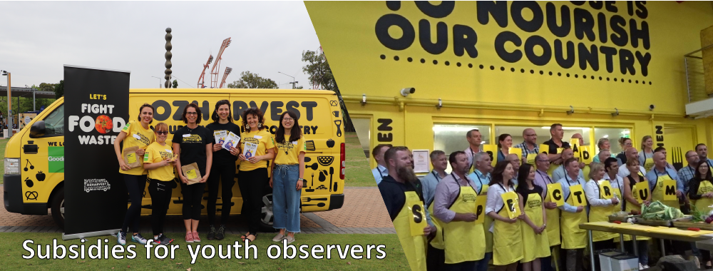 Subsidies for youth observers