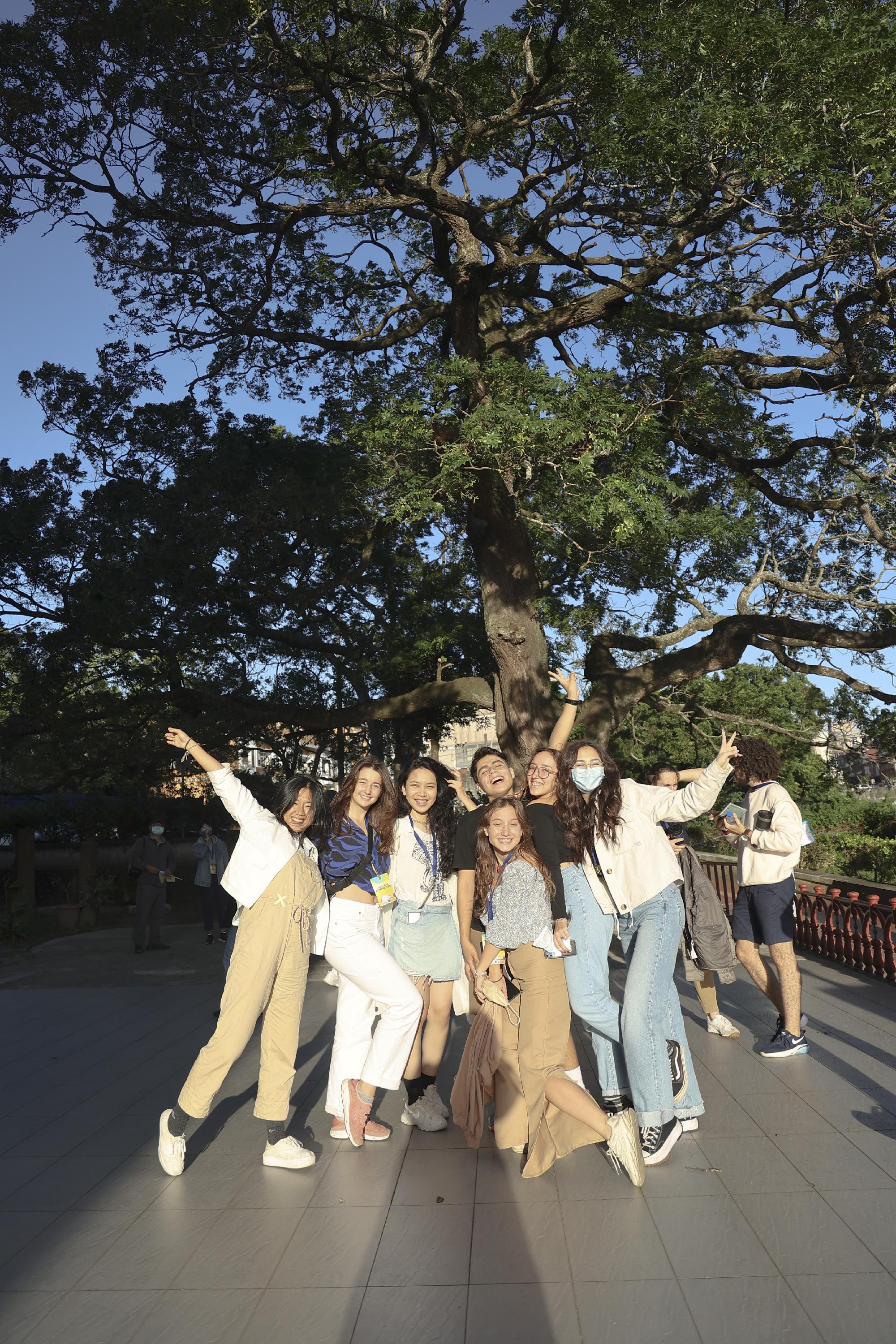 Wide-angle photo under the tree