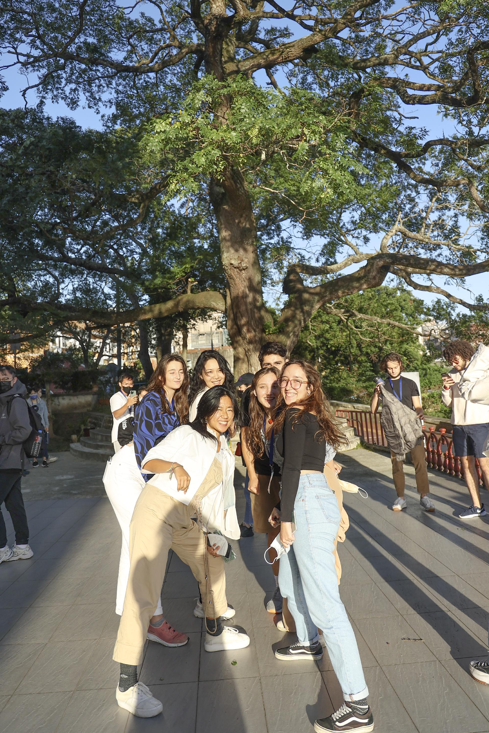 Photo under the big tree