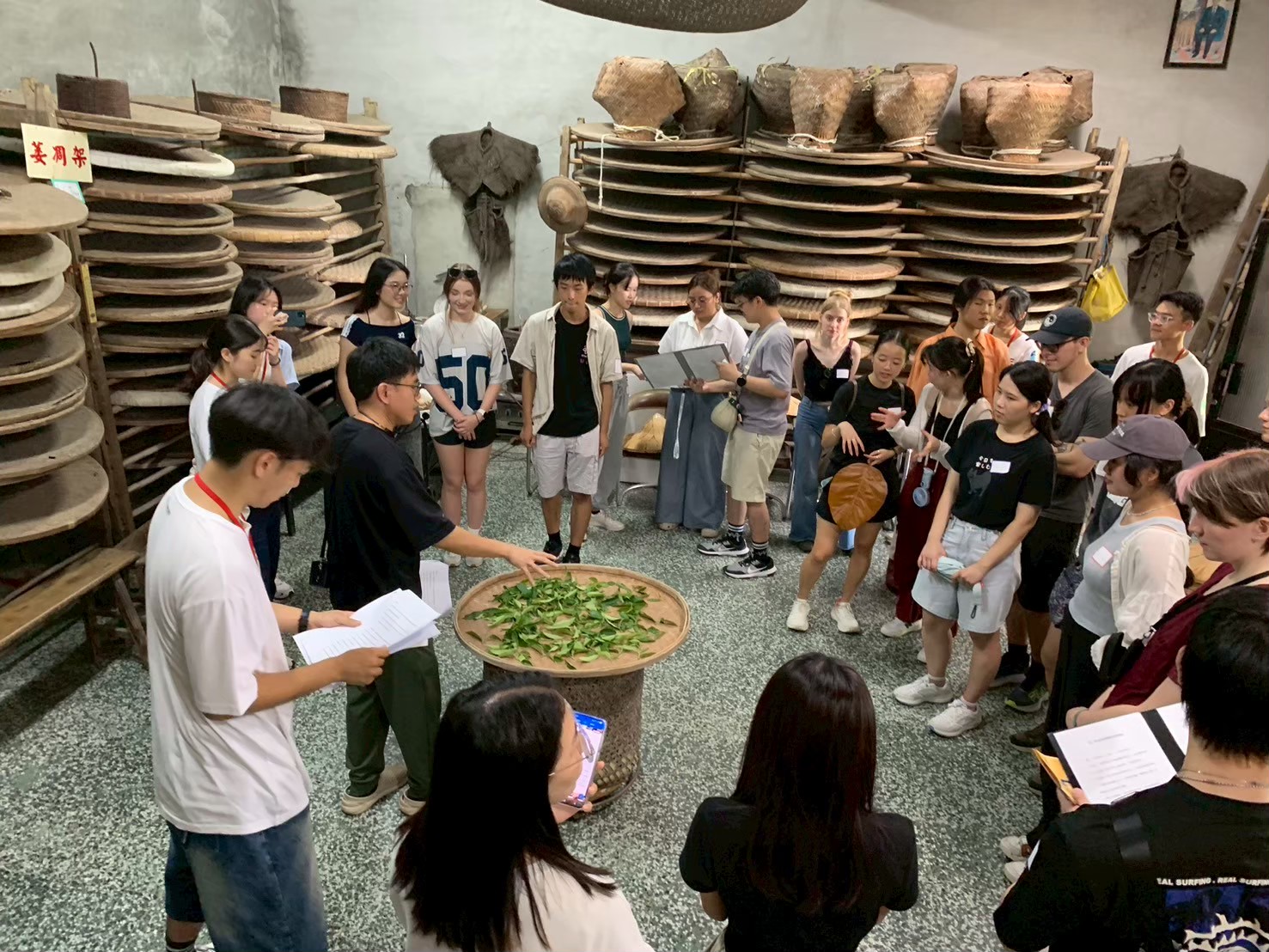 解謎貓空一日遊－製茶導覽