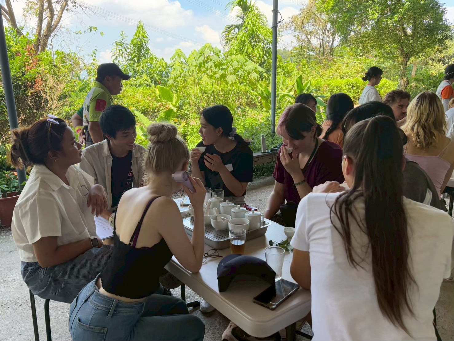 解謎貓空一日遊－品茶體驗